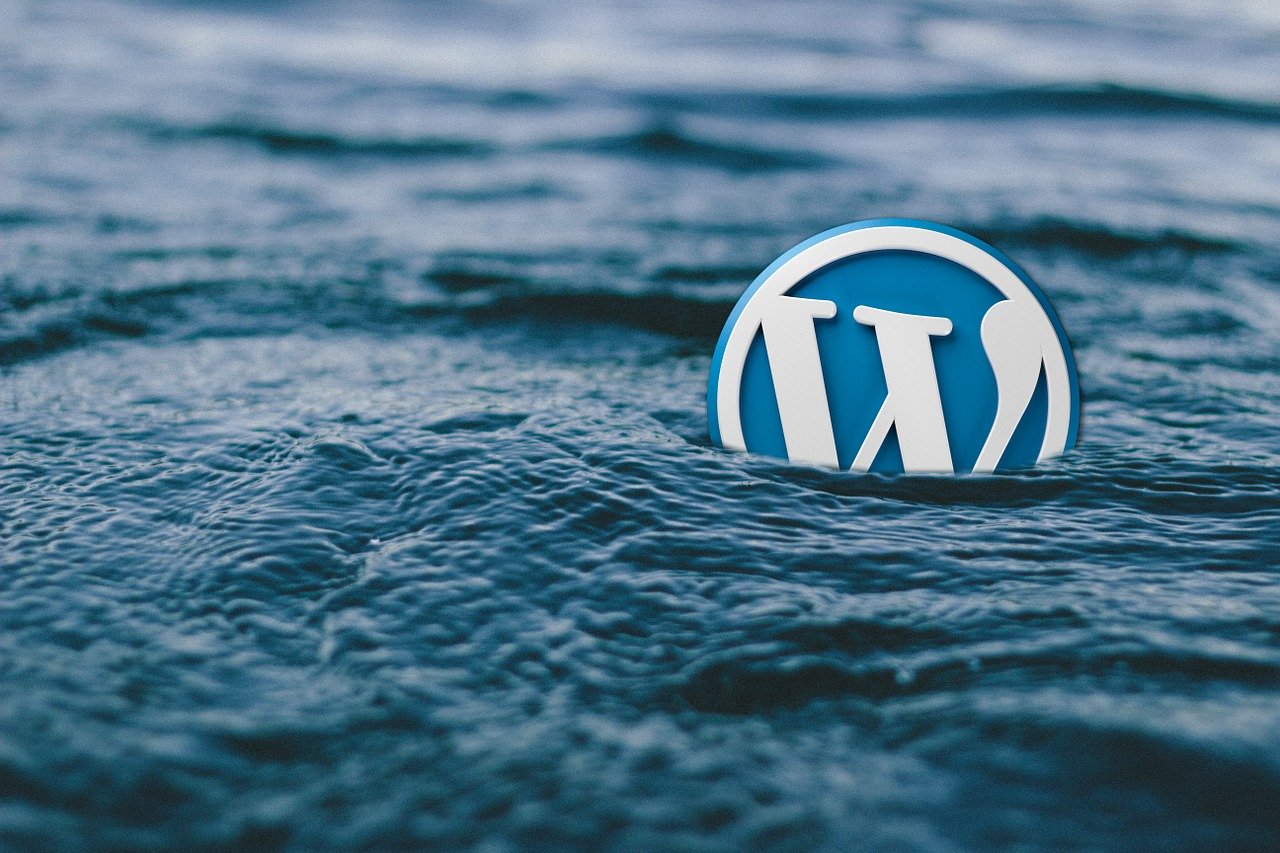 A Comprehensive Review of GoDaddy Deluxe Plan Web Hosting of WordPress  – Story of TechSap.in